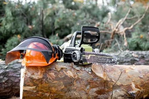Chainsaw and safety helmet resting on a cut log